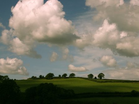 CRW_5487.jpg